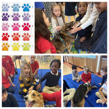 Lordship Elementary School-The joy of our therapy dogs